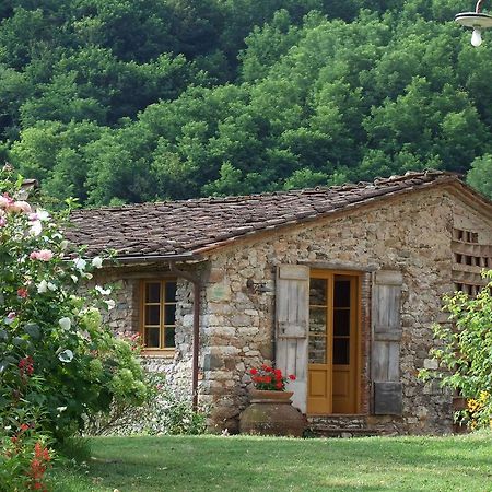 Villa Bottino By Salogi Villas San Martino in Freddana 外观 照片
