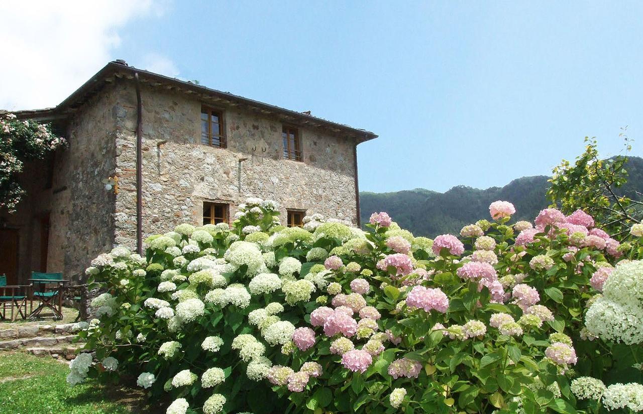 Villa Bottino By Salogi Villas San Martino in Freddana 外观 照片