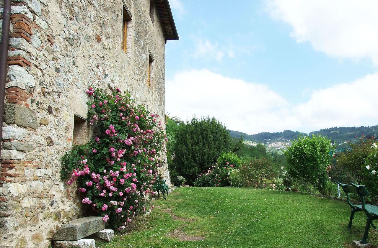 Villa Bottino By Salogi Villas San Martino in Freddana 外观 照片